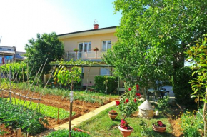 Apartments with WiFi Pula - 15813